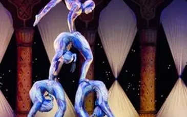 Nouveau Cirque Zavatta