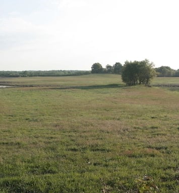 Balade-conférence sur l'histoire des étangs et des paysages anciens de la Brenne