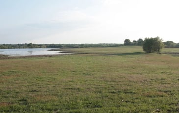 Balade-conférence sur l'histoire des étangs et des paysages anciens de la Brenne