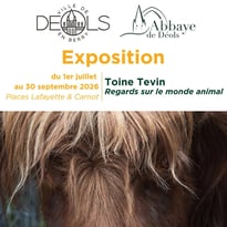 Rencontre/débat : "La petite histoire de la photographie dans la grande histoire"