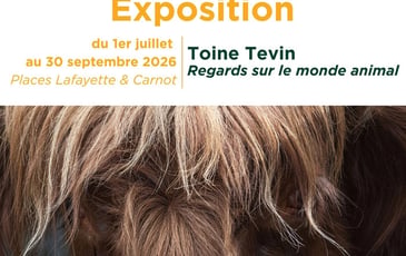 Rencontre/débat : "La petite histoire de la photographie dans la grande histoire"