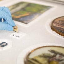 Visite guidée des réserves du musée Bertrand
