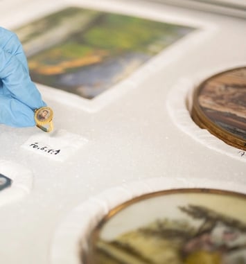 Visite guidée des réserves du musée Bertrand