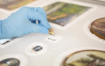 Visite guidée des réserves du musée Bertrand