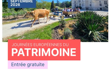 Visite guidée et tour en char à bœufs traditionnel